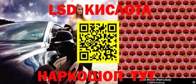 ALPHA PVP Гатчина