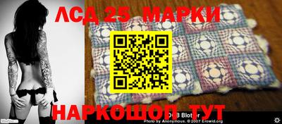 ALPHA PVP Гатчина