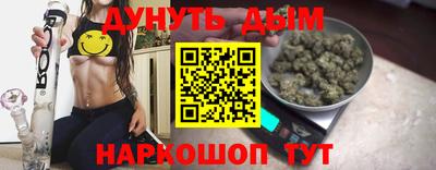 ALPHA PVP Гатчина