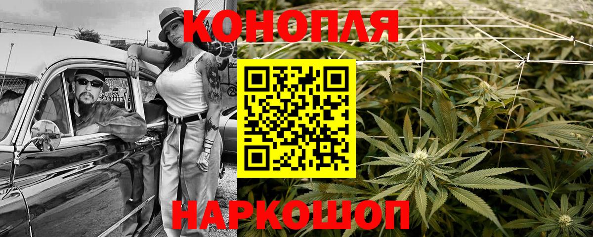 Канабис сатива Можайск